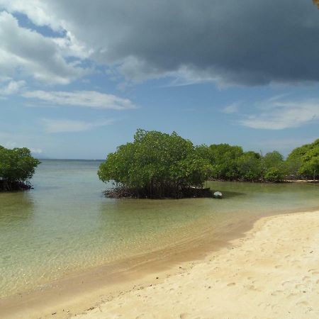 Mangrove Paradise Retreat Lembongan Exterior foto