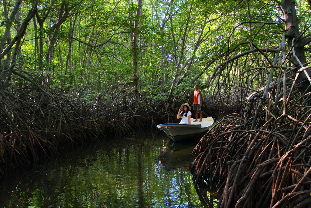 Mangrove Paradise Retreat Lembongan Exterior foto